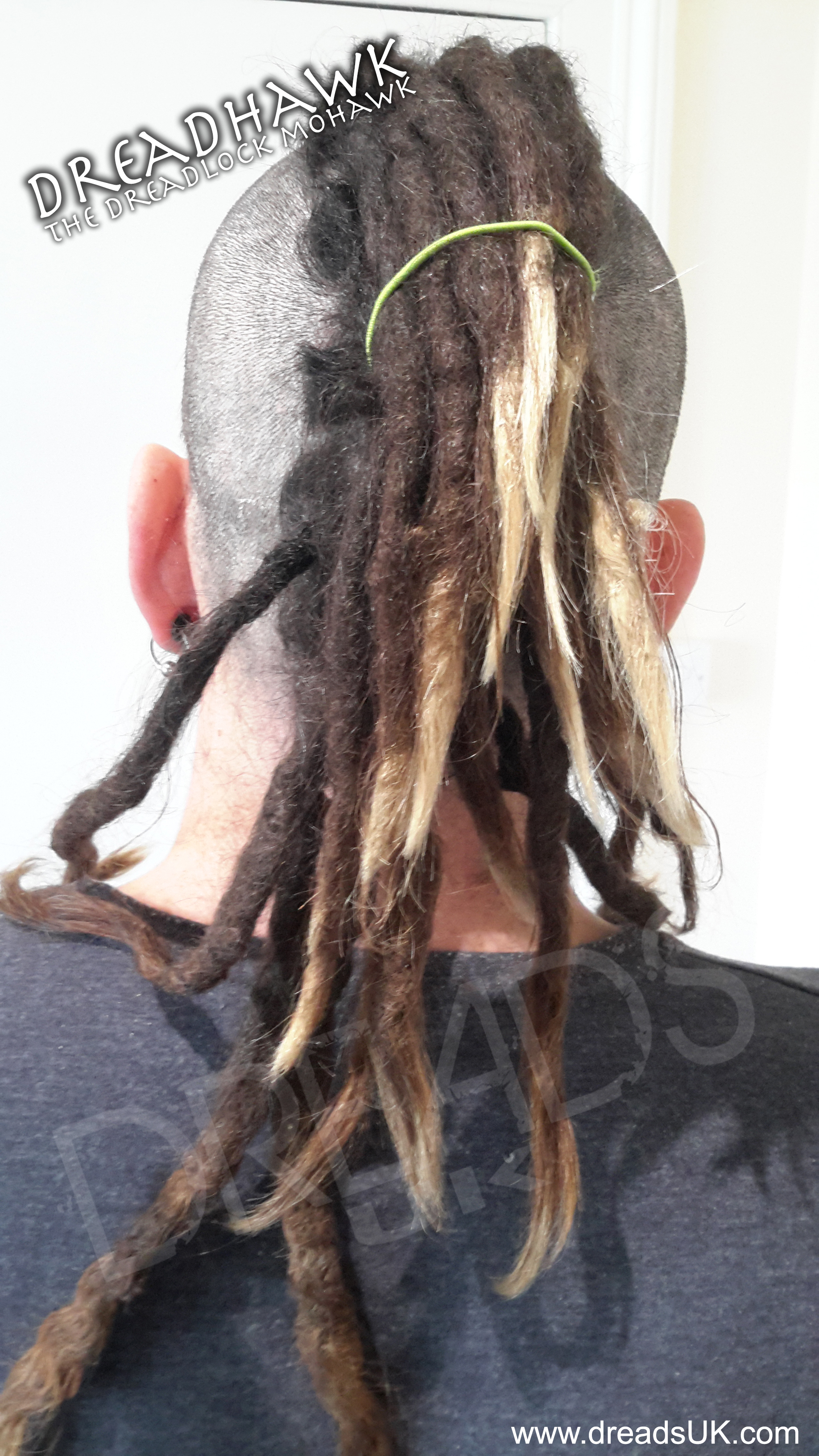 Dreadhawk The Dreadlocks Mohawk Dreads Uk Dreadlocks Guide